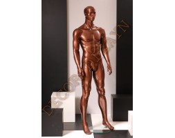 Male Mannequin