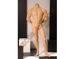 Male Mannequin